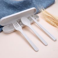 BS3120 小麥秸稈餐具